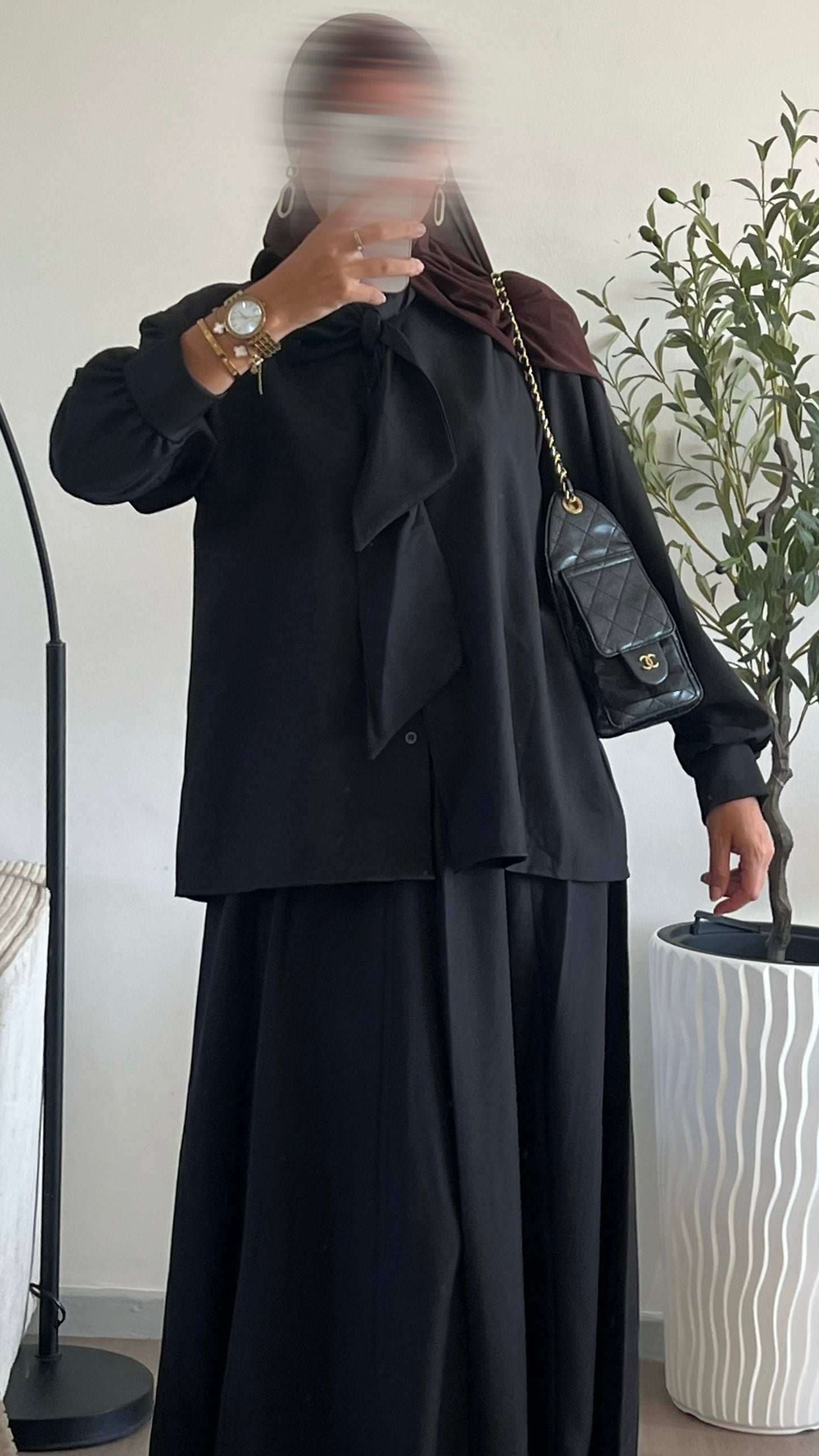Ensemble Shams